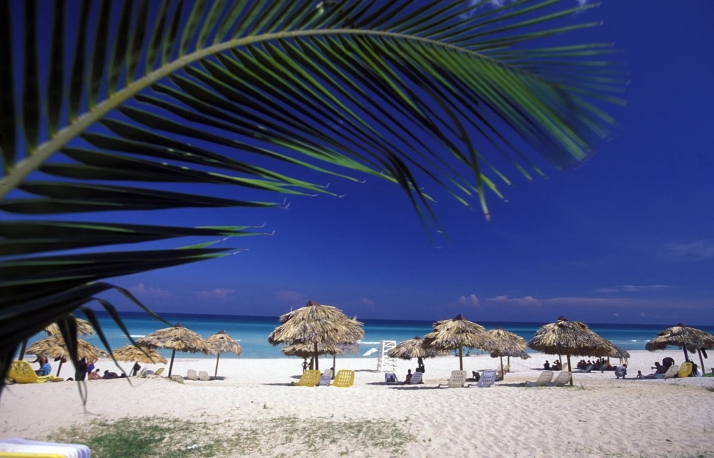Cuba beach with thatched umbrellas and turquoise water through palm fronds
